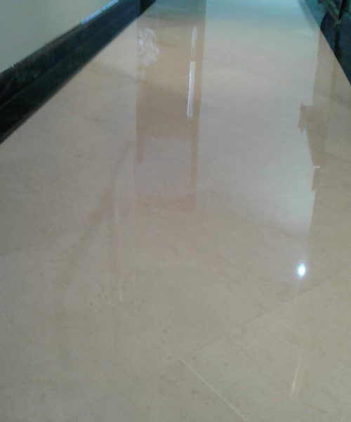 WhatsApp Image 2024-05-23 at 11.56.58 AM (1)